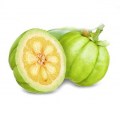 Garcinia-cambogia-prasek-1k.jpg