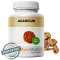 Agaricus blazei 90 kapslí