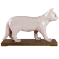 Akupunkturní model kočky 28 cm