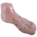 Akupunkturní model noha 15cm