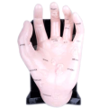 Akupunkturní model ruky 20cm