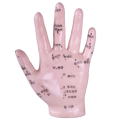 Akupunkturní model ruky 12cm