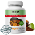 Chaga 50% polysacharidů 90 kapslí