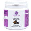 Čaga chaga 90 tablet