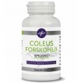 coleus_forskohlii.jpg