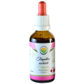 Echinacea bezalkoholová tinktura 50ml