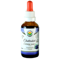 Eleuterokok bezalkoholová tinktura 50ml
