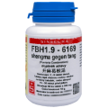 FBH1.9,shengma gegen tang