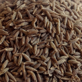 Kmín kořenný celý 100g