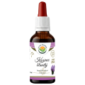 Kozinec blanitý Astralagus membranaceus AF tinktura 50 ml