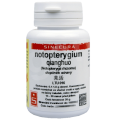 Notopterygium Qianghuo extrakt 20 g 