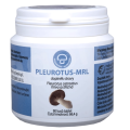 Pleurotus Hlíva ústřičná 90 tablet