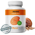 Reishi 90 kapslí