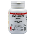 Slivoň mume Wumei extrakt 20g