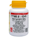 TTW9.9 - baizi yangxin tang - 60 tablet
