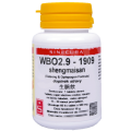 WBO2.9-1909 shengmai san 60 tablet
